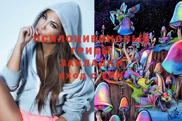 ГАЛЛЮЦИНОГЕННЫЕ ГРИБЫ Володарск